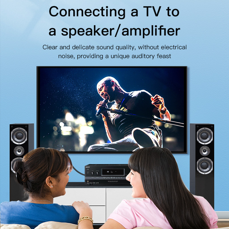 CHOSEAL RCA Cable Digital Coax - Home Cinema Marantz review and price